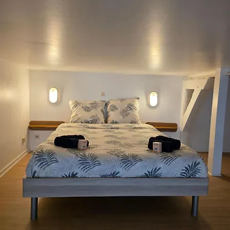 La Mezzanine Remoise - Centre De Apartment Reims